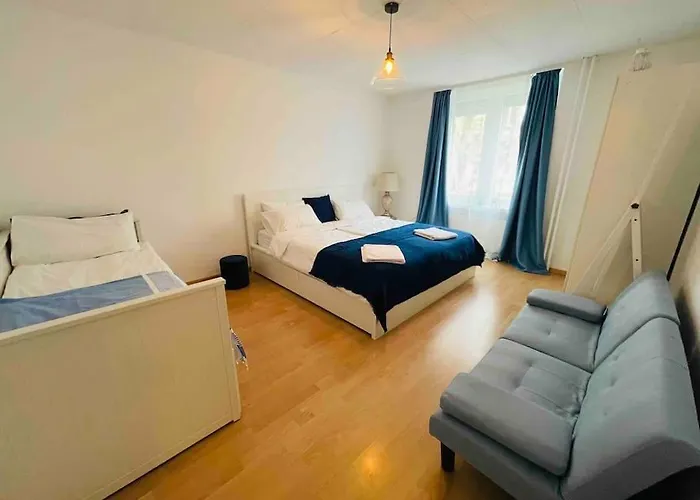 Cozy Appartamento Zurigo